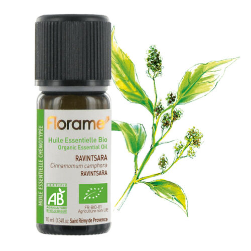 Florame Organik Aromaterapi Ravintsara Cineol (Cinnamomum camphora) 10 ml