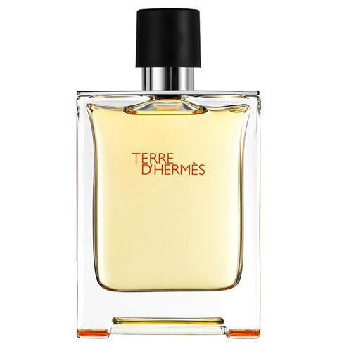 Hermes Terre Dhermes Pure Erkek Parfümü 75 ml