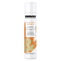 Toni Guy Kuru ve Yıpranmış Saçlar için Şampuan 250 ml - Thumbnail
