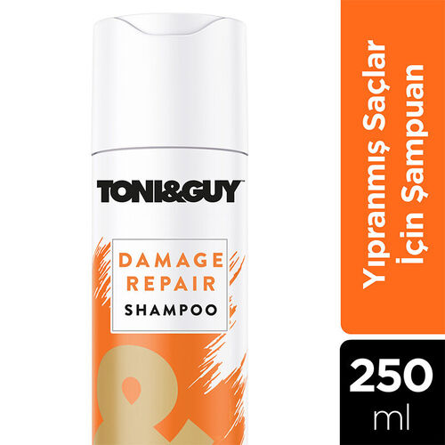 Toni Guy Kuru ve Yıpranmış Saçlar için Şampuan 250 ml