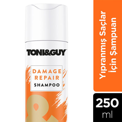 Toni Guy Kuru ve Yıpranmış Saçlar için Şampuan 250 ml