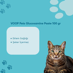 VOOP Pet Kediler İçin Malt Macunu 100 gr - Thumbnail