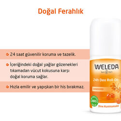 Weleda Yabani İğde Özlü Doğal Roll On Deodorant 50 ml - Thumbnail