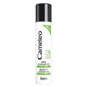 Delia Cosmetics - Delia Cameleo BB Dry Hair Shampoo 200 ml