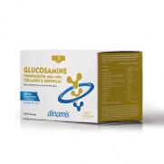 Dinamis - Dinamis Glucosamine Chondroitin MSM Takviye Edici Gıda 6 g x 30 Saşe