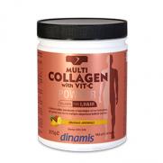 Dinamis - Dinamis Multi Collagen with Vit-C Powder -Ananas Aromalı Takviye Edici Gıda 315 gr