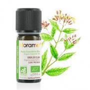 Florame - Florame Organik Aromaterapi Karanfil Tohumu (Eugenia Caryophyllus) 10 ml