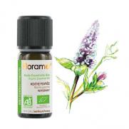 Florame - Florame Organik Aromaterapi Nane Yaprağı (Mentha Piperita) 30 ml