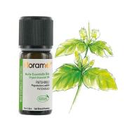Florame - Florame Organik Aromaterapi Paçuli (Pogostemon Cablin) 10 ml