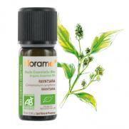 Florame - Florame Organik Aromaterapi Ravintsara Cineol (Cinnamomum camphora) 10 ml