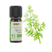 Florame - Florame Organik Aromaterapi Spearmint (Mentha Spicata) 5 ml