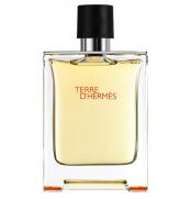 Hermes - Hermes Terre Dhermes Edt Erkek Parfüm 100 ml