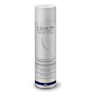 Lavilin - Lavilin Deodorant Etkili Erkek Duş Jeli 250 ml (Promosyon Ürünü)