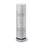 Lavilin - Lavilin Deodorant Şampuan Erkek 250 ml