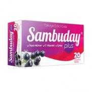 Sambuday - Sambuday Plus Çi̇ğneme 20 Tablet
