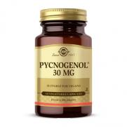 Solgar - Solgar Pycnogenol 30 mg 30 Kapsül