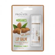 The Prouvee Reponses - The Prouvee Reponses Organik Dudak Lip Balm - Tatlı Badem 5 ml