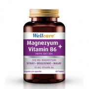 Wellcare - Wellcare Magnezyum Vitamin B6 60 Tablet