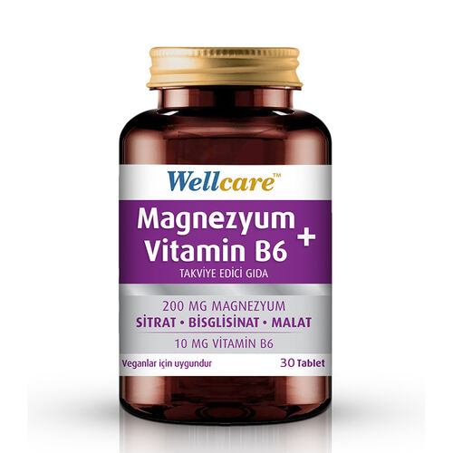 Wellcare - Wellcare Magnezyum Vitamin B6 30 Tablet