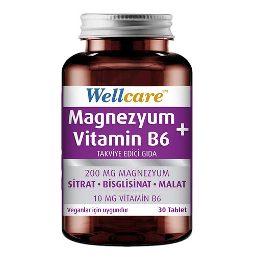 Wellcare - Wellcare Magnezyum Vitamin B6 30 Tablet